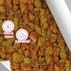 Papel De Parede Adesivo Folhas Secas Do Outono  Lavável 6m