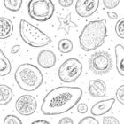 Papel De Parede Adesivo Frutas Exóticas N014083