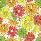 Papel De Parede Adesivo Frutas N013060