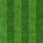 Papel De Parede Adesivo Futebol N013121