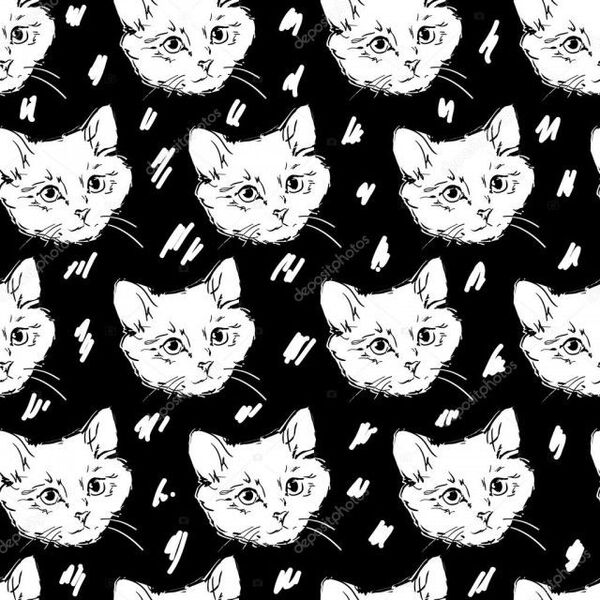 Papel De Parede Adesivo Gatos Fundo Preto Decoração Quarto 12