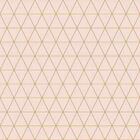 Papel De Parede Adesivo Geométrico 3d N02238