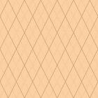 Papel De Parede Adesivo Geométrico N010011