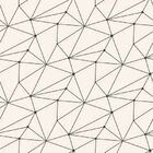 Papel De Parede Adesivo Geométrico N010084