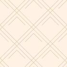 Papel De Parede Adesivo Geométrico N013080