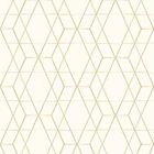 Papel De Parede Adesivo Geométrico N013107