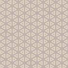 Papel De Parede Adesivo Geométrico N09032