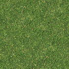 Papel De Parede Adesivo - Grama - 043ppn