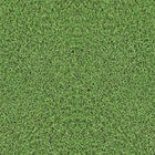 Papel De Parede Adesivo - Grama  - 001ppn