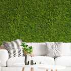 Papel De Parede Adesivo Grama Verde Tropical Varanda 15m