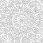 Papel De Parede Adesivo Indiano N02149