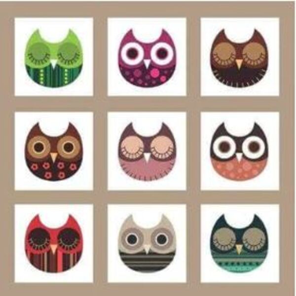 Papel De Parede Adesivo Infantil 114358036 0,58x3,00m