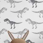 Papel De Parede Adesivo Infantil Dinossauros Esqueletos 60x30