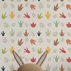 Papel De Parede Adesivo Infantil Mod 222 Vinílico 60x300cm