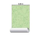 Papel De Parede Adesivo Jovem N05251