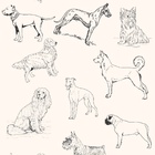 Papel De Parede Adesivo Lavável Desenhos De Cães 12m