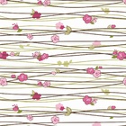 Papel De Parede Adesivo Lavável Orquídeas 15m