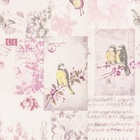 Papel De Parede Adesivo Lavável Pássaros Vintage 6m