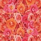 Papel De Parede Adesivo Lavável Rosas Dobradas 9m