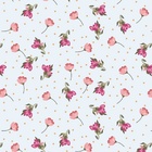 Papel De Parede Adesivo Lavável Rosas E Pontos 6m