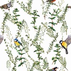 Papel De Parede Adesivo Lavável Sanhaçu 15m