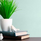 Papel De Parede Adesivo Lavavel Texturizado Linho Verde Água