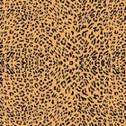 Papel De Parede Adesivo Leopardo 002