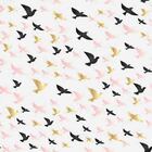 Papel De Parede Adesivo Passaro N02032 0,48x2,5m