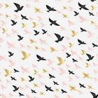 Papel De Parede Adesivo Passaro N02032