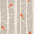 Papel De Parede Adesivo Pássaros 205145872 0,48x3,00m