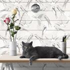 Papel De Parede Adesivo Pássaros 96470429 0,48x3,00m