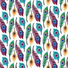 Papel De Parede Adesivo Penas De Pavão N06135