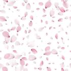 Papel De Parede Adesivo Pétalas N011134