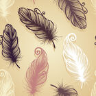 Papel De Parede Adesivo - Plumas - 055ppv