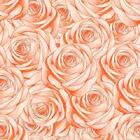 Papel De Parede Adesivo Rosas N03008 0,48x2,5m