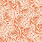 Papel De Parede Adesivo Rosas N03008
