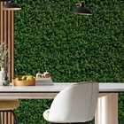 Papel De Parede Adesivo Samambaia Verde Muro Inglês 12m