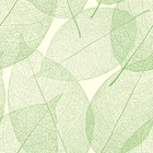 Papel De Parede Adesivo Tendenci Estampa De Folhas Rolo 5 Met
