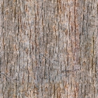 Papel De Parede Adesivo Tronco De Madeira Rústica 1 3m