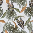 Papel De Parede Adesivo Tropical Folhas N015008 0,58x3,00m
