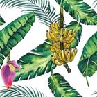 Papel De Parede Adesivo Tropical N012059