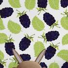 Papel De Parede Adesivo Vinílico Para Cozinha Mod 41 Amoras 6