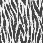 Papel De Parede Adesivo Zebra Animal Print N06249