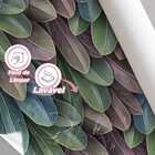 Papel De Parede Arte Folhas Tipo Pena Colorida Sala 3m