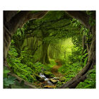 Papel De Parede Árvores Floresta Natureza Sala Adesivo - 079p