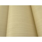 Papel De Parede - Bege - Alto Relevo - Rolo Com 10m X 53cm -
