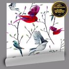 Papel De Parede Birds In Nature - 0 50 X 3 00 Metros