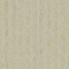 Papel De Parede Bobinex Essencial - Textura Verde Acinzentado