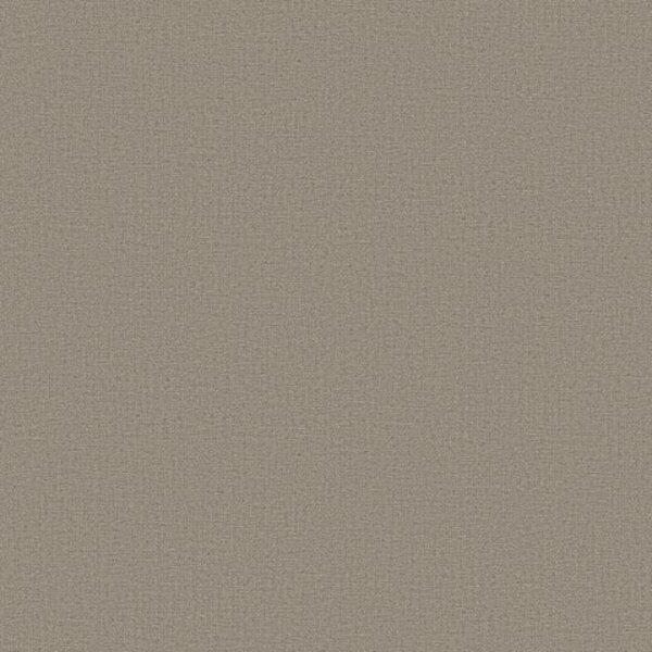 Papel De Parede Bobinex Texturas II - Marrom