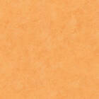 Papel De Parede Boys E Girls 6 758828 - Rolo: 10m X 0,53m